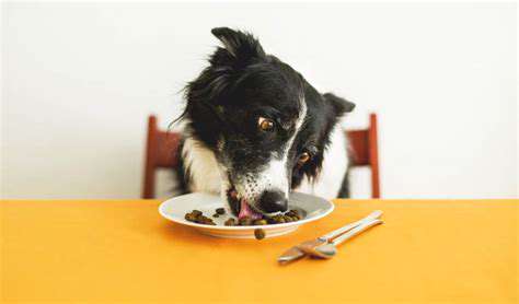 AssessingYourPet'sNeedsandHomeEnvironment