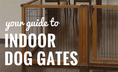 ChoosingtheRightPetGateforYourHome'sUniqueNeeds