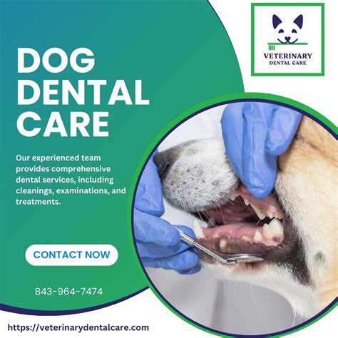 ChoosingtheRightVeterinaryCareProvider