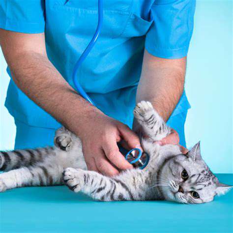 DiagnosingandTreatingFelineUpperRespiratoryInfections