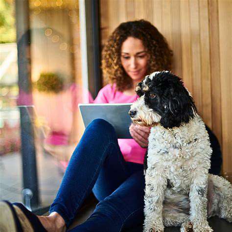 DiscussingYourPet'sHealthandAddressingConcerns