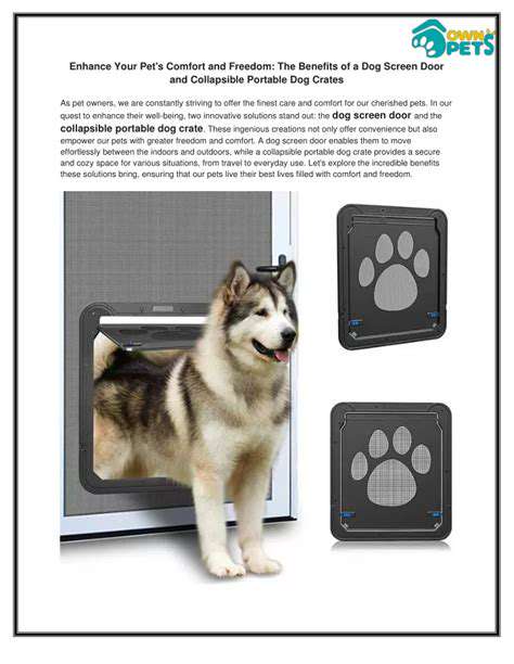 EnhancingYourPet'sComfortandBonding