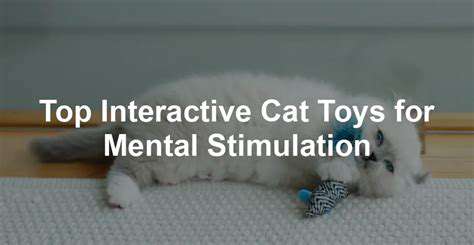 InteractiveOptionsforMentalStimulation