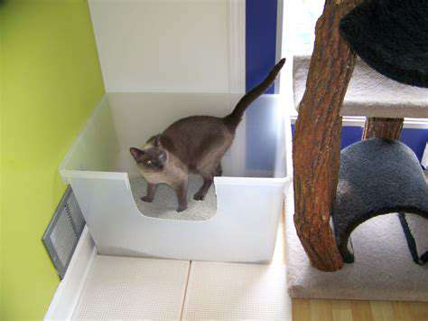 LitterBoxLocationandAccessibility