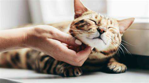 Long-TermBenefits:AWell-AdjustedAdultCat