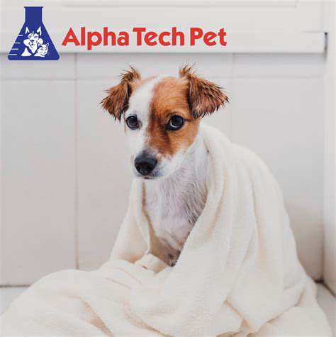 MaintainingaComfortableandSafeGroomingEnvironment