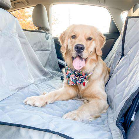 MaintenanceandCareTipsforYourPetCarSeat