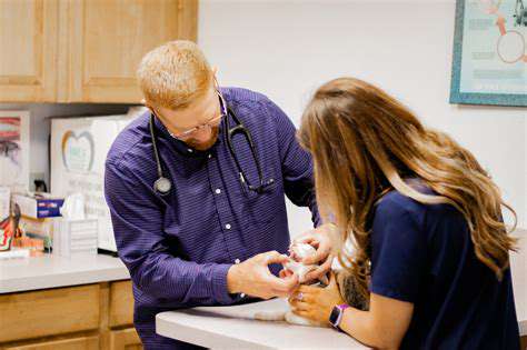 SchedulingYourPet'sDentalCheck-up