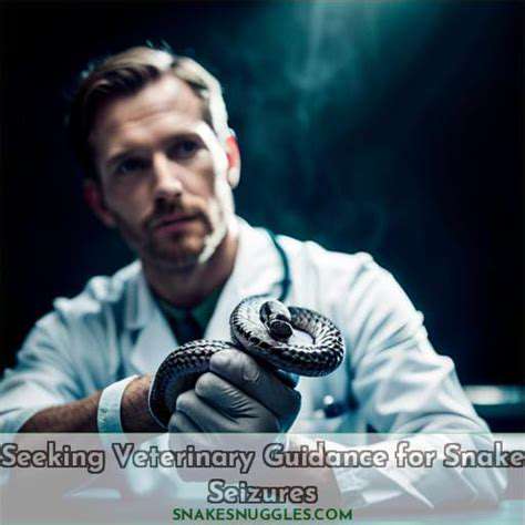 SeekingProfessionalVeterinaryGuidance