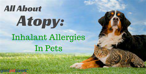 TheRoleofInhalantAllergiesinPetHealth
