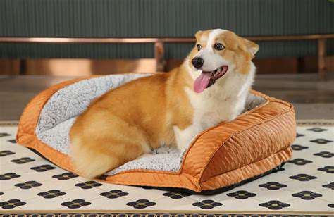 TypesofSelf-WarmingPetBeds:ChoosingtheRightStyleforYourPet