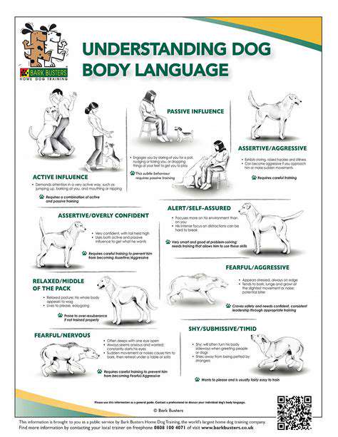 UnderstandingDogBodyLanguageisEssential