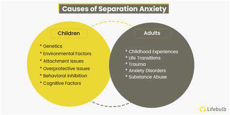 UnderstandingtheRootCausesofSeparationAnxiety