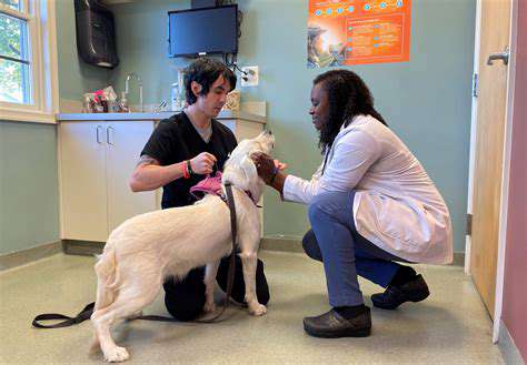WhentoSeeaVeterinarian