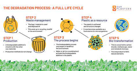 Biodegradability:ASustainableChoiceforYourEnvironment