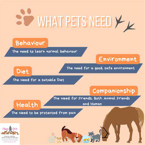 ChoosingtheRightApproachforYourPet'sNeeds