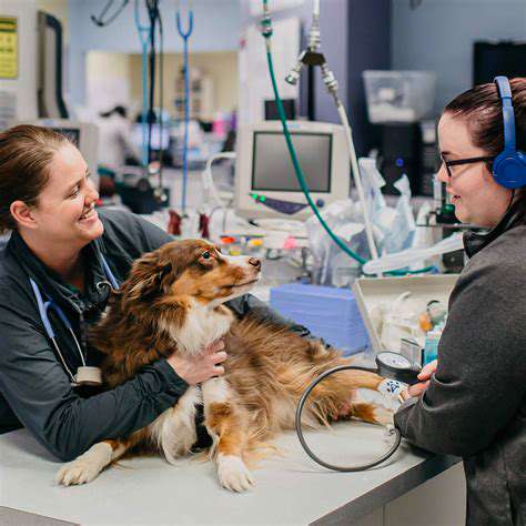 ContactingYourVeterinarianorEmergencyServices