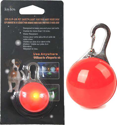 FactorstoConsiderWhenChoosingPetSafetyLights