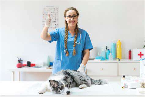 ImportantConsiderationsandVeterinaryAdvice