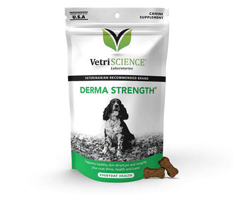 Omega-3sandSupportingHealthySkinandCoat