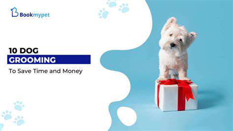 TheAllureofDIYGrooming:SavingMoneyandTime?