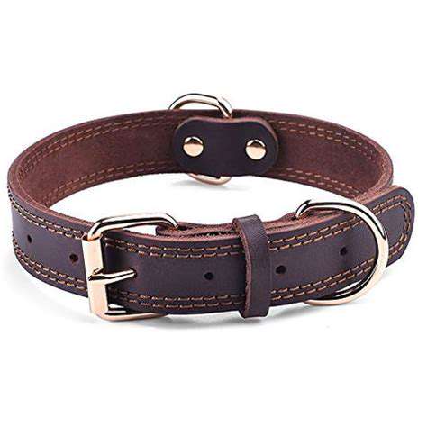 Top-RatedDurableDogCollars:ADetailedComparison
