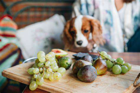 WhattoDoIfYourPetIngestsGrapesorRaisins
