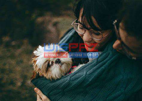 WhentoSeekImmediateVeterinaryCare:KnowingtheDangerSignals