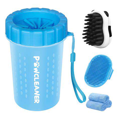 Budget-FriendlyOptionsvs.PremiumPawCleaners