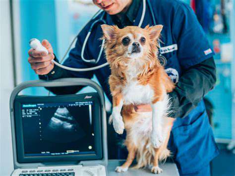 DiagnosticProceduresandVeterinaryConsultation