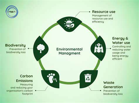 UsingEnvironmentalControltoImproveFocus