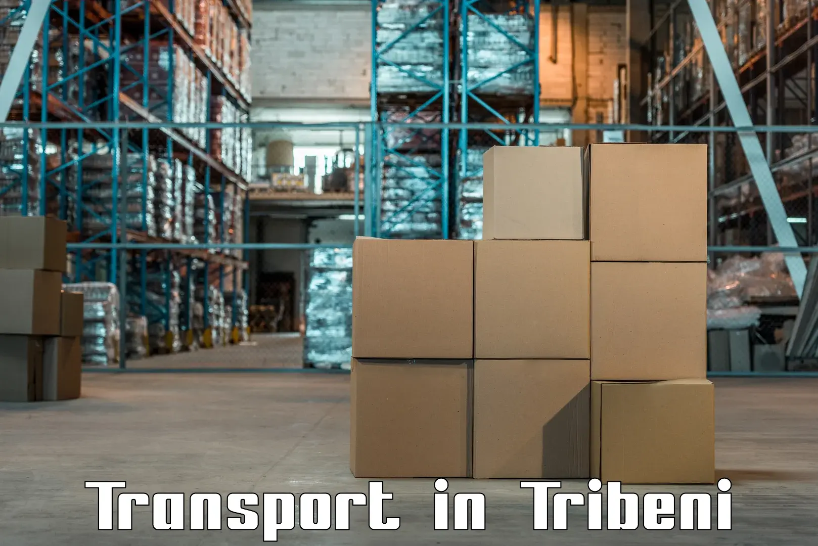 Transport in sharing in Tribeni