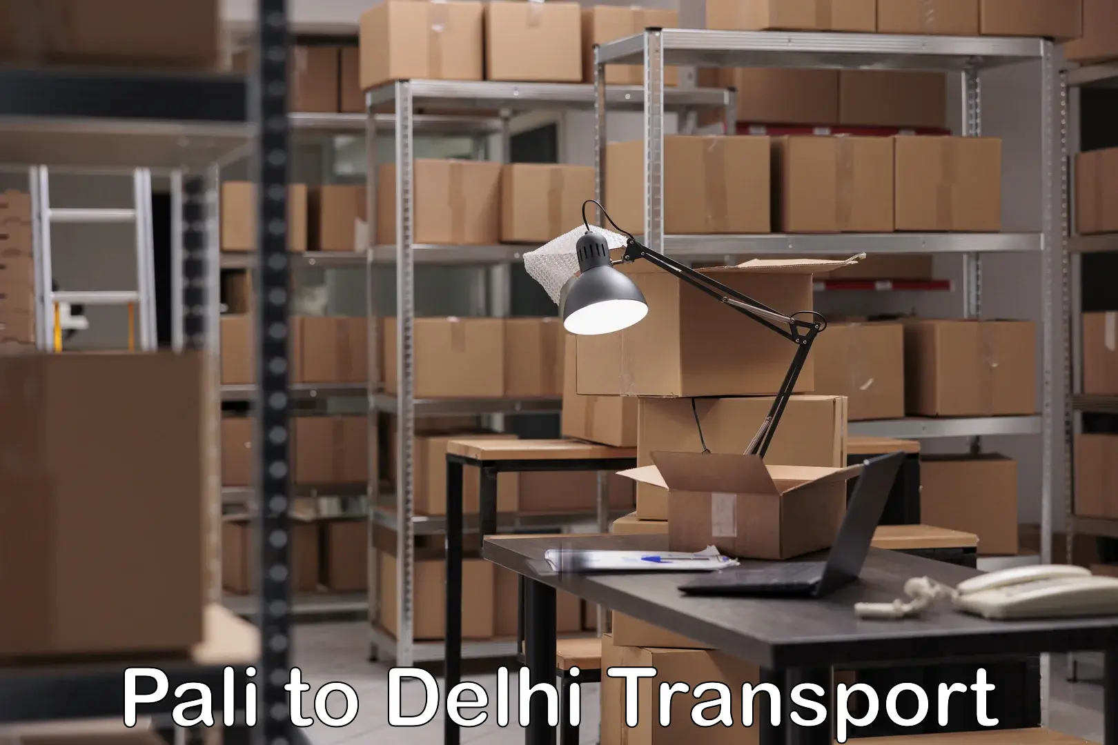 Domestic goods transportation services Pali to Delhi