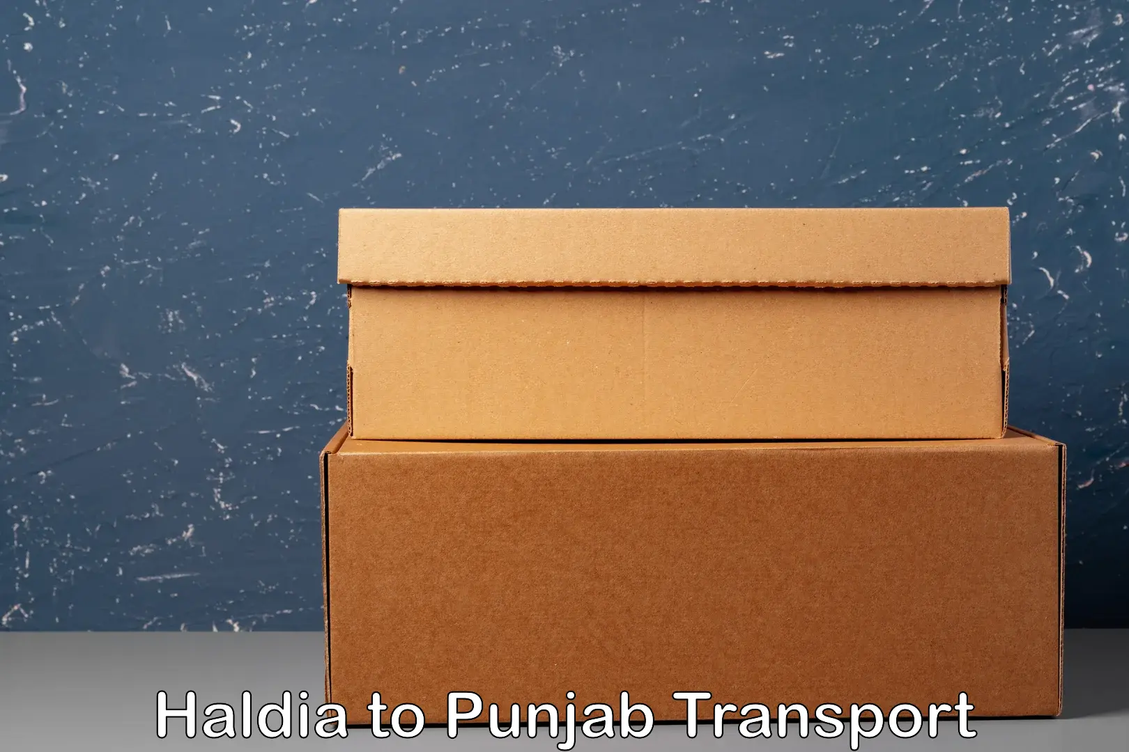Cargo train transport services in Haldia to Punjab