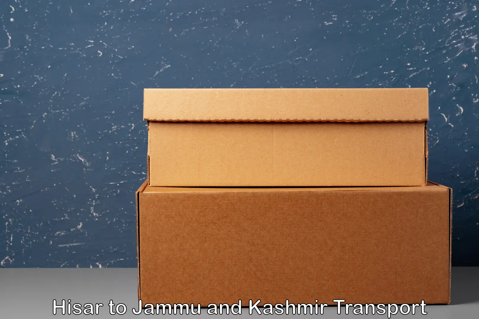 Vehicle courier services Hisar to Srinagar Kashmir