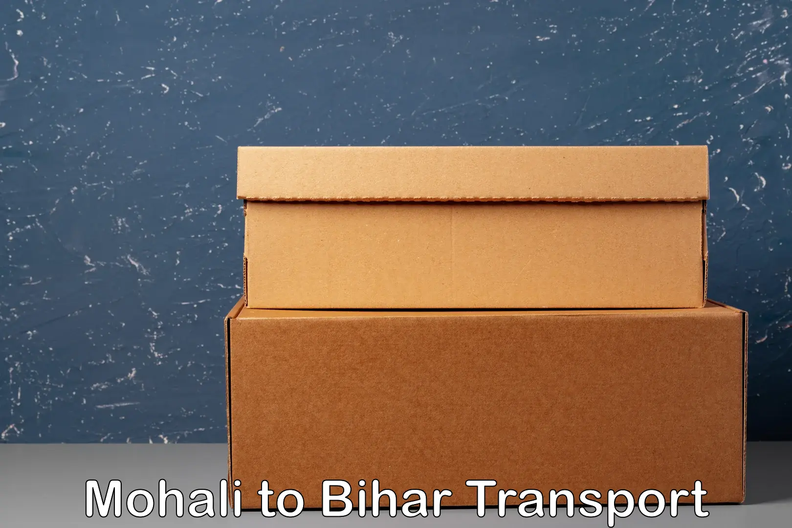 Cargo train transport services Mohali to Bihar