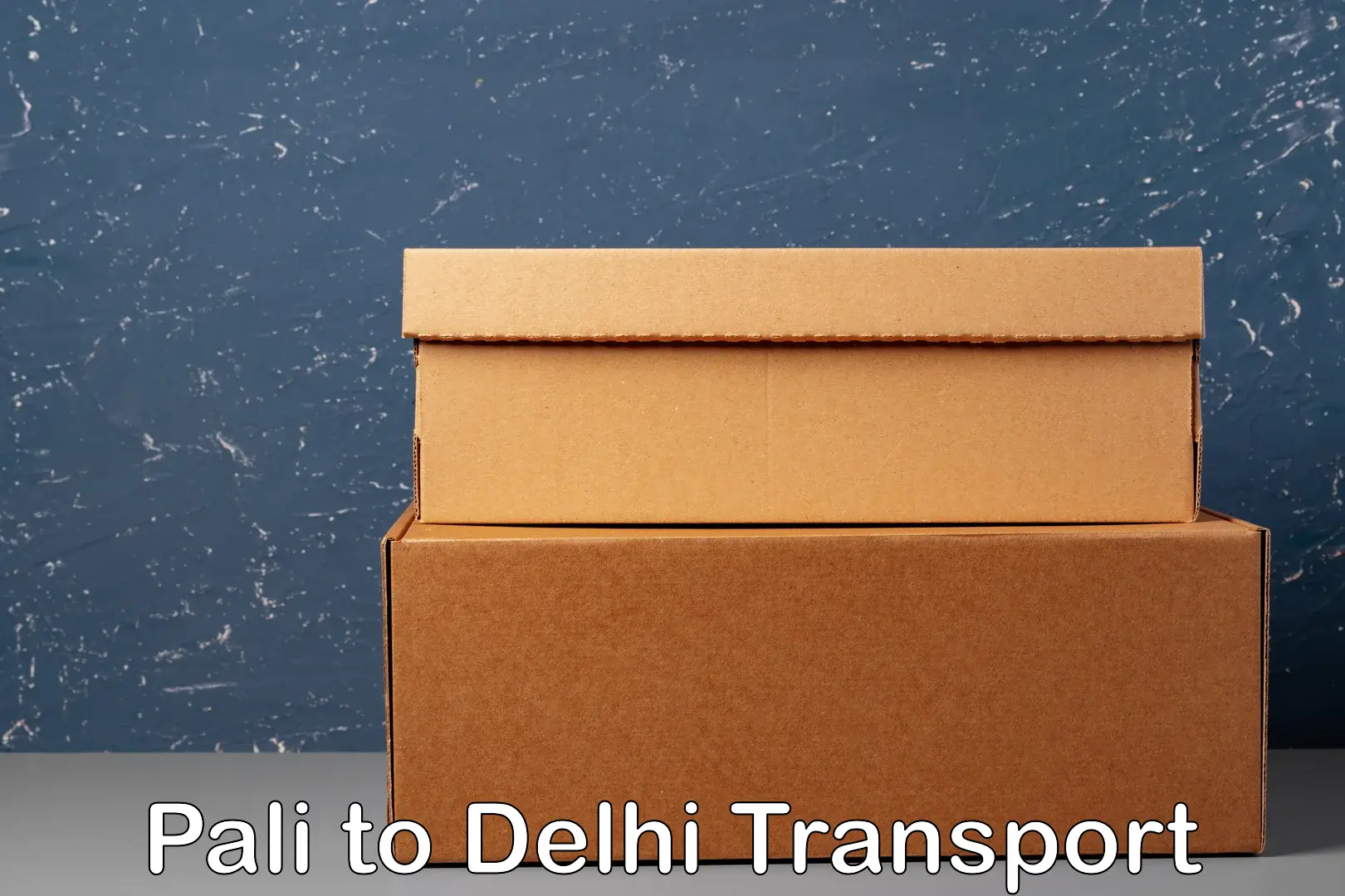 Land transport services Pali to Delhi