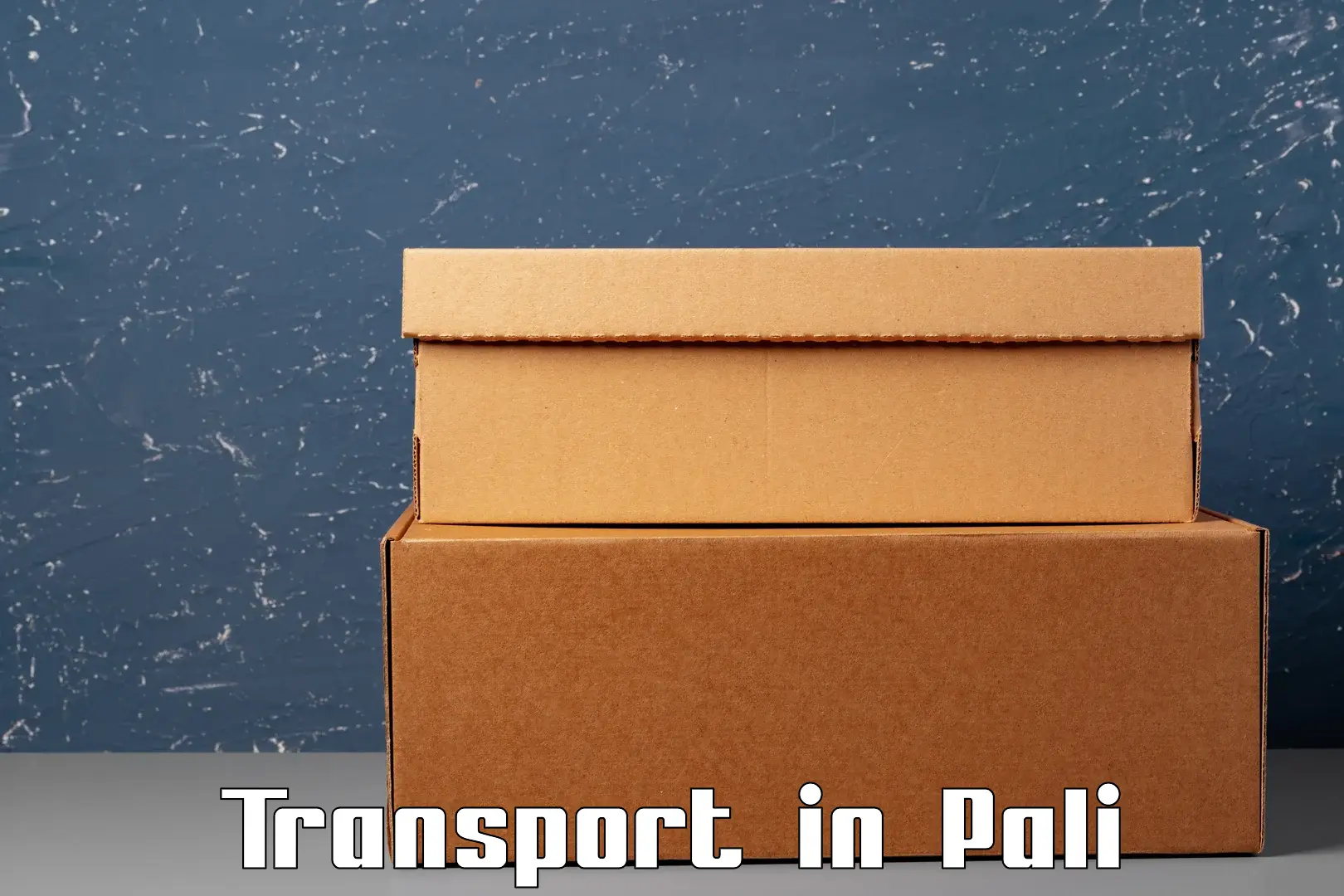 Shipping services in Pali