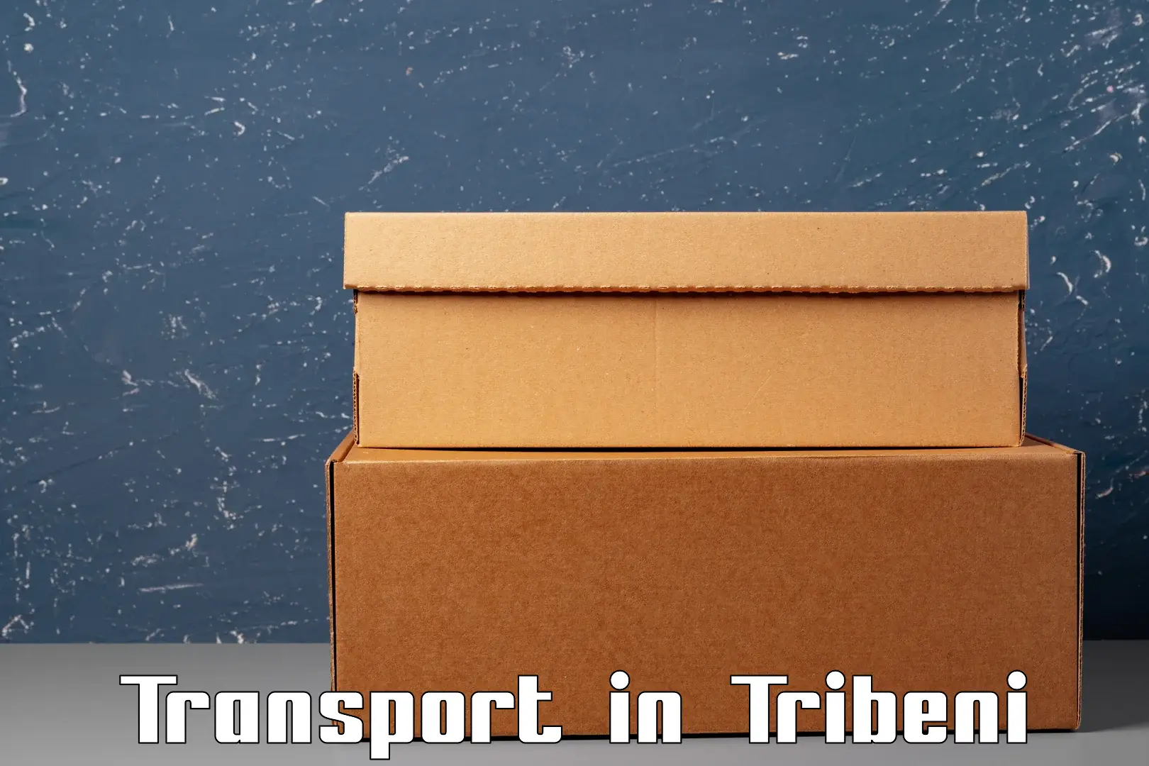 Air freight transport services in Tribeni