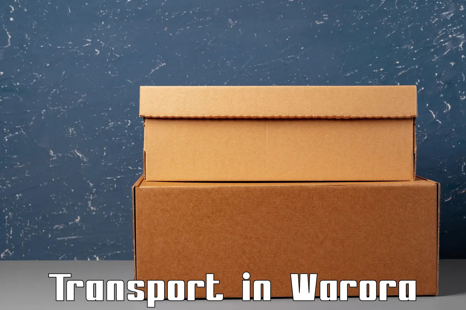 Air freight transport services in Warora