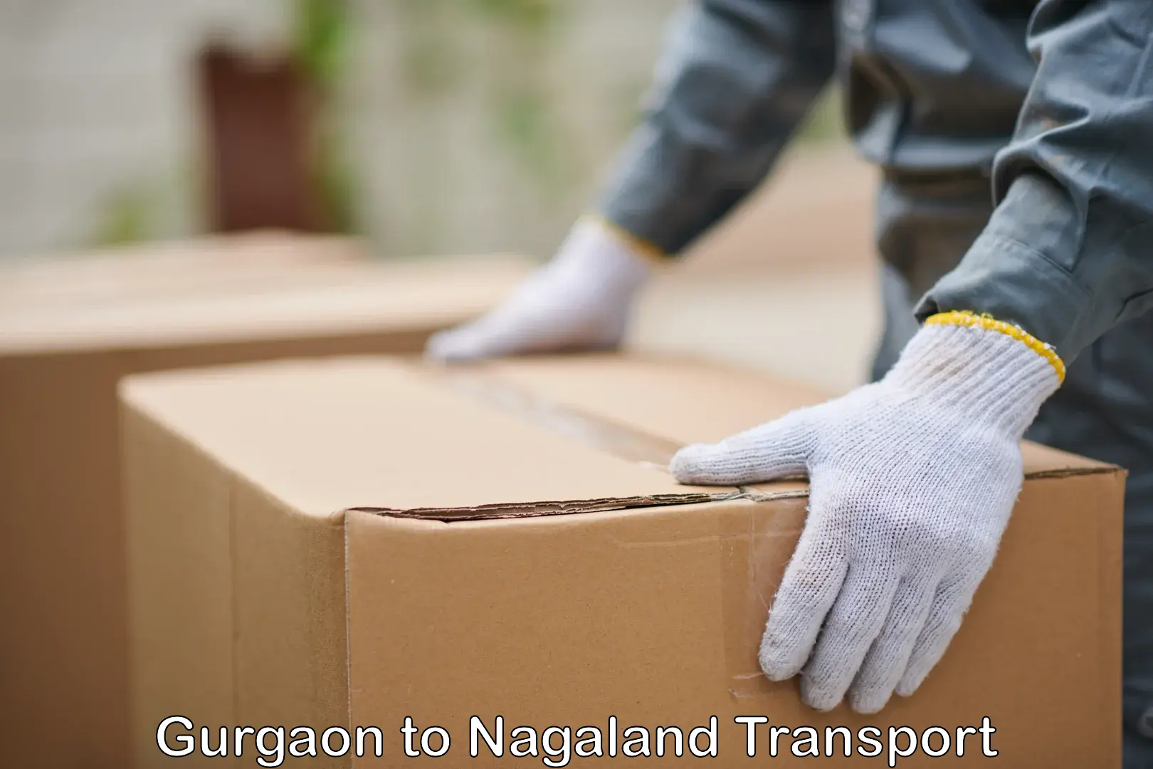 Vehicle transport services Gurgaon to Nagaland
