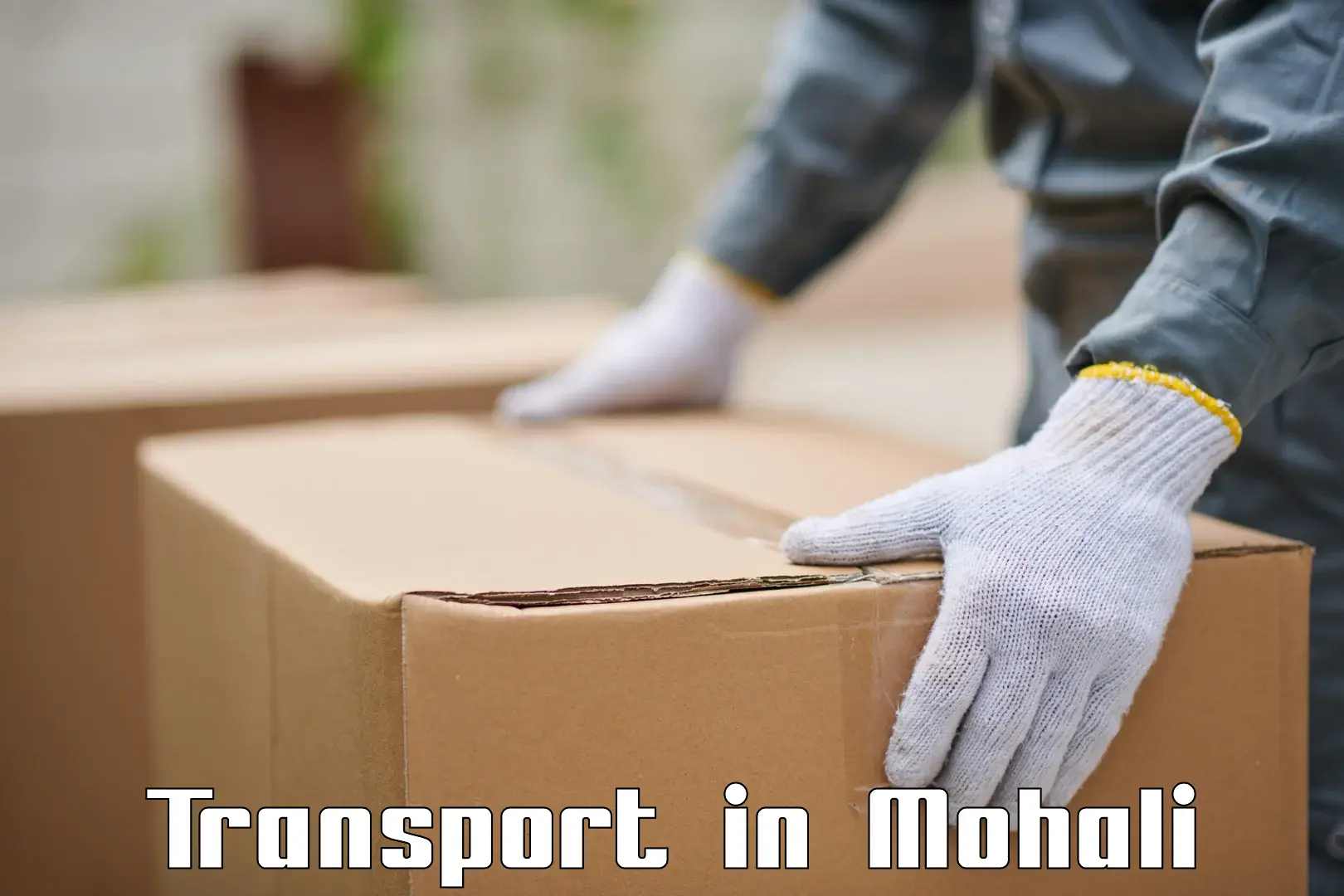 Online transport in Mohali