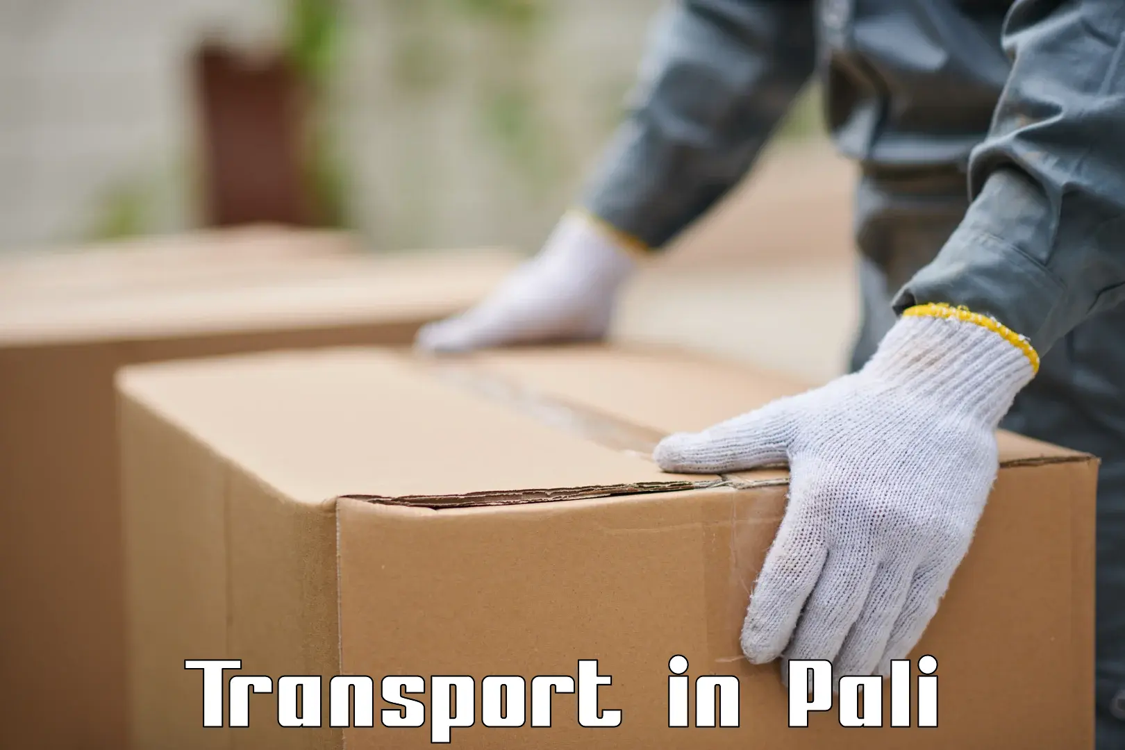 Domestic transport services in Pali