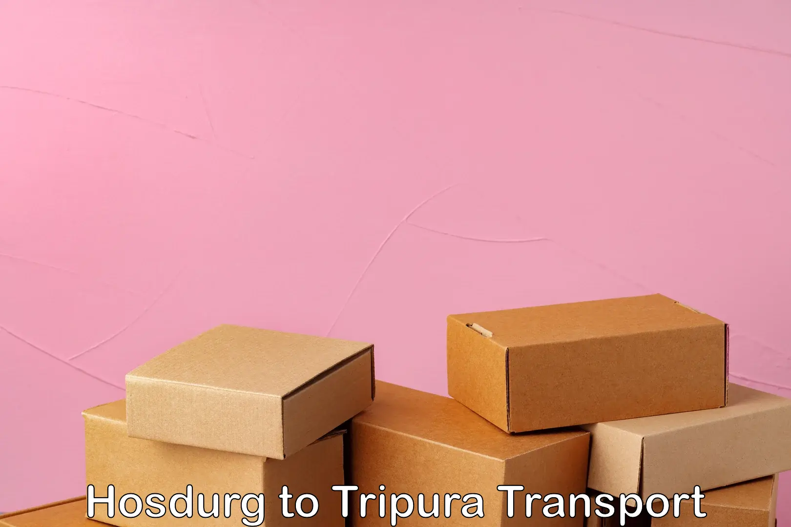 Domestic goods transportation services Hosdurg to Tripura
