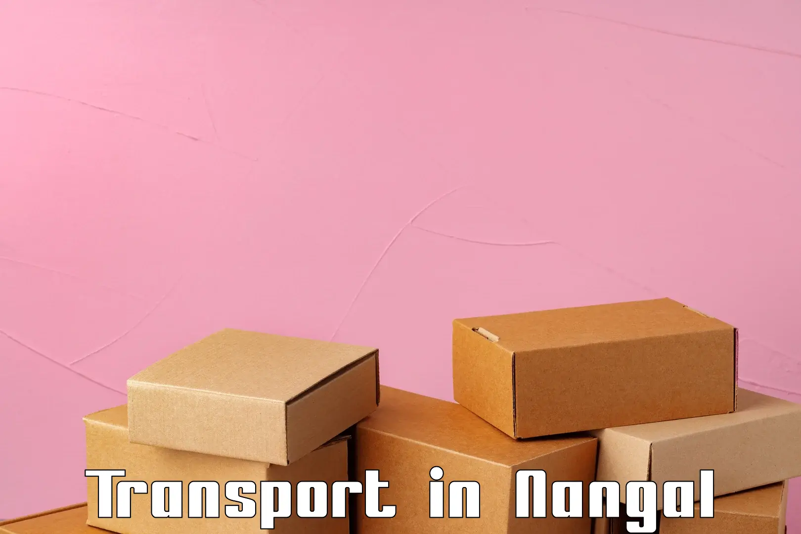 Parcel transport services in Nangal