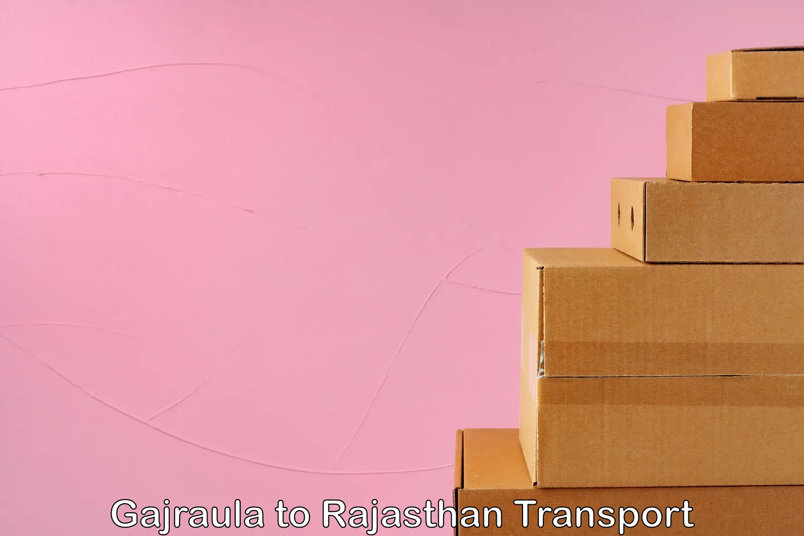Two wheeler transport services in Gajraula to Rajasthan