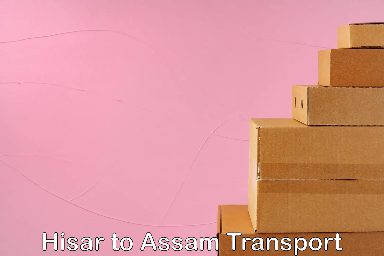 International cargo transportation services Hisar to Assam