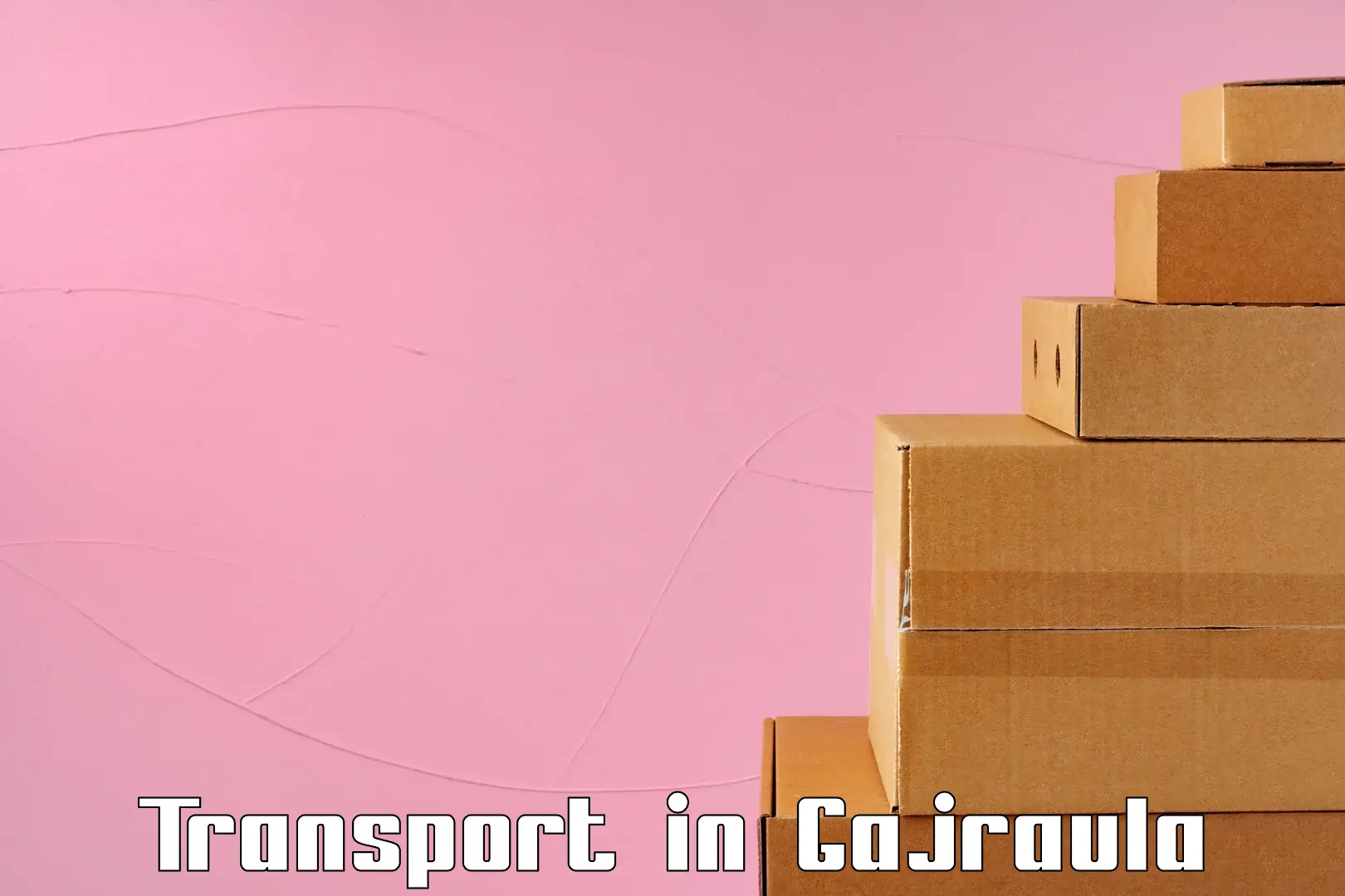 Domestic goods transportation services in Gajraula