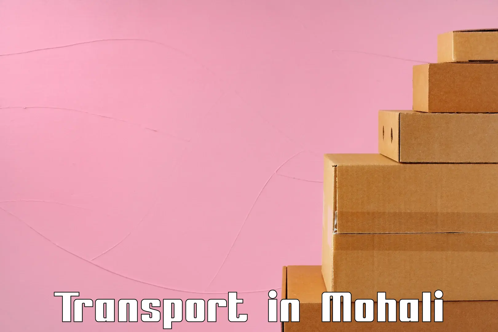 Cycle transportation service in Mohali