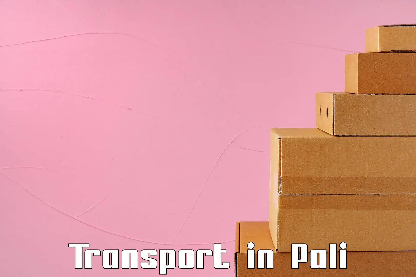 Road transport services in Pali